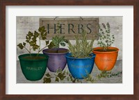 Potted Herbs Fine Art Print