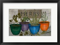 Potted Herbs Fine Art Print