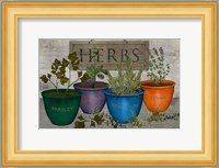 Potted Herbs Fine Art Print