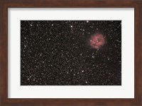The Cocoon Nebula Fine Art Print