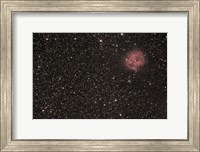 The Cocoon Nebula Fine Art Print