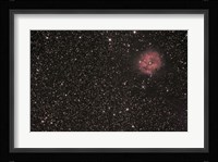 The Cocoon Nebula Fine Art Print