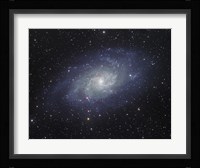 The Triangulum Galaxy Fine Art Print