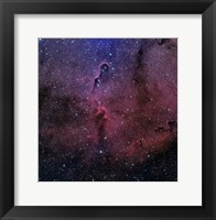 The Elephant Trunk Nebula Fine Art Print