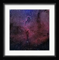 The Elephant Trunk Nebula Fine Art Print