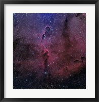The Elephant Trunk Nebula Fine Art Print