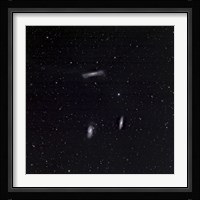 Leo Triplet Fine Art Print