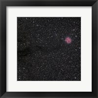 Cocoon Nebula Fine Art Print