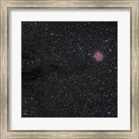 Cocoon Nebula Fine Art Print