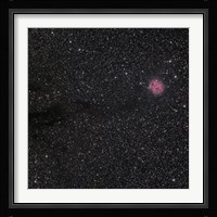 Cocoon Nebula Fine Art Print