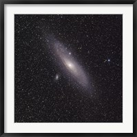 The Andromeda Galaxy Fine Art Print