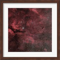 The Sadr Region with the Crescent Nebula Fine Art Print