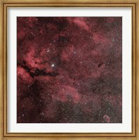 The Sadr Region with the Crescent Nebula Fine Art Print