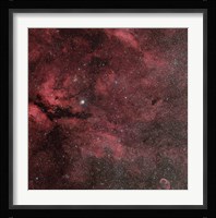 The Sadr Region with the Crescent Nebula Fine Art Print