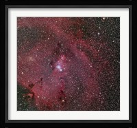 Cone and Christmas Tree Nebula Fine Art Print
