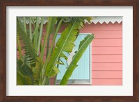 Palm and Pineapple Shutters Detail, Great Abaco Island, Bahamas Fine Art Print