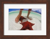 Starfish and Feet, Bahamas, Caribbean Fine Art Print