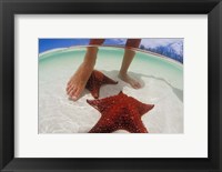 Starfish and Feet, Bahamas, Caribbean Fine Art Print