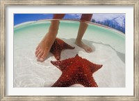 Starfish and Feet, Bahamas, Caribbean Fine Art Print