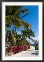 Bahamas, Eleuthera, Harbor Island, Dunmore, Flora Fine Art Print
