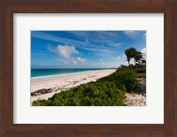 Bahamas, Eleuthera, Harbor Island, Pink Sand Beach Fine Art Print