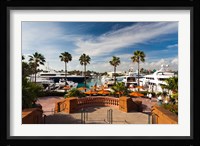 Bahamas, New Providence, Nassau, Paradise Island Fine Art Print