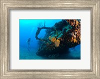 Scuba diver, RMS Rhone wreck, British Virgin Isl Fine Art Print