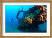 Scuba diver, RMS Rhone wreck, British Virgin Isl Fine Art Print