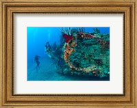 Wreck of the RMS Rhone, Coast of Salt Island, near Tortola, British Virgin Islands Fine Art Print