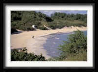 View of Horseshoe Bay, Bermuda, Caribbean Fine Art Print