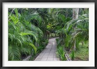 Pathway, Hemingway House, Hemingway Museum, Finca Vigia, Havana, Cuba Fine Art Print