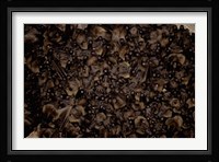 Madagascar, Ankarana, Tongue-clicking fruit bat wildlife Fine Art Print