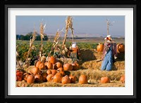 Scarecrows, Fruitland, Idaho Fine Art Print