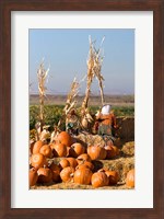 Pumpkin, hay bales, scarecrows, Fruitland, Idaho Fine Art Print