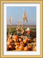 Pumpkin, hay bales, scarecrows, Fruitland, Idaho Fine Art Print