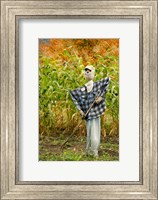 New York, Cooperstown, Farmers Museum Fall cornfield with scarecrow Fine Art Print