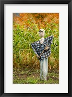 New York, Cooperstown, Farmers Museum Fall cornfield with scarecrow Fine Art Print