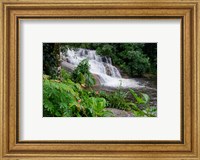 Rainforest waterfall, Serra da Bocaina NP, Parati, Brazil (horizontal) Fine Art Print