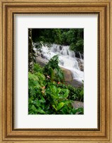 Rainforest waterfall, Serra da Bocaina NP, Parati, Brazil (vertical) Fine Art Print