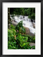 Rainforest waterfall, Serra da Bocaina NP, Parati, Brazil (vertical) Fine Art Print