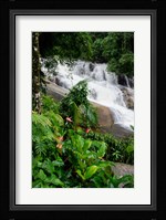 Rainforest waterfall, Serra da Bocaina NP, Parati, Brazil (vertical) Fine Art Print