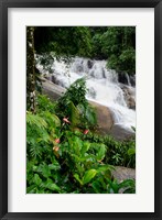 Rainforest waterfall, Serra da Bocaina NP, Parati, Brazil (vertical) Fine Art Print