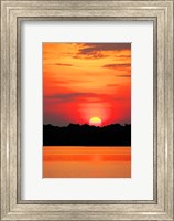 Amazon Jungle, Brazil, Sunset Fine Art Print