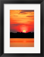 Amazon Jungle, Brazil, Sunset Fine Art Print