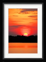 Amazon Jungle, Brazil, Sunset Fine Art Print