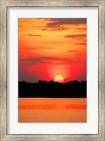 Amazon Jungle, Brazil, Sunset Fine Art Print