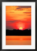 Amazon Jungle, Brazil, Sunset Framed Print
