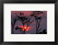 Amazonia Sunset Fine Art Print