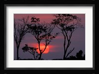 Amazonia Sunset Fine Art Print