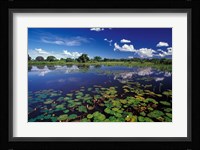 Waterways in Pantanal, Brazil Fine Art Print